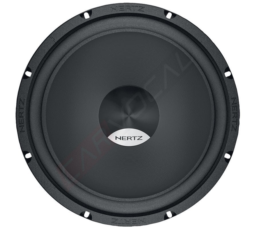 Hertz DS 250 Subwoofer