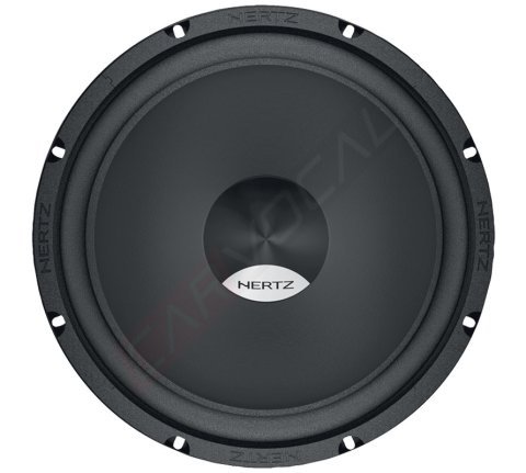 Hertz DS 250 Subwoofer