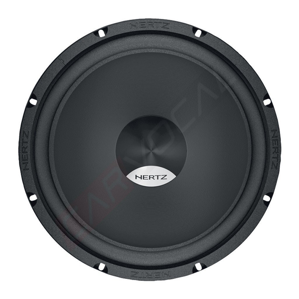 Hertz DS 300 Subwoofer
