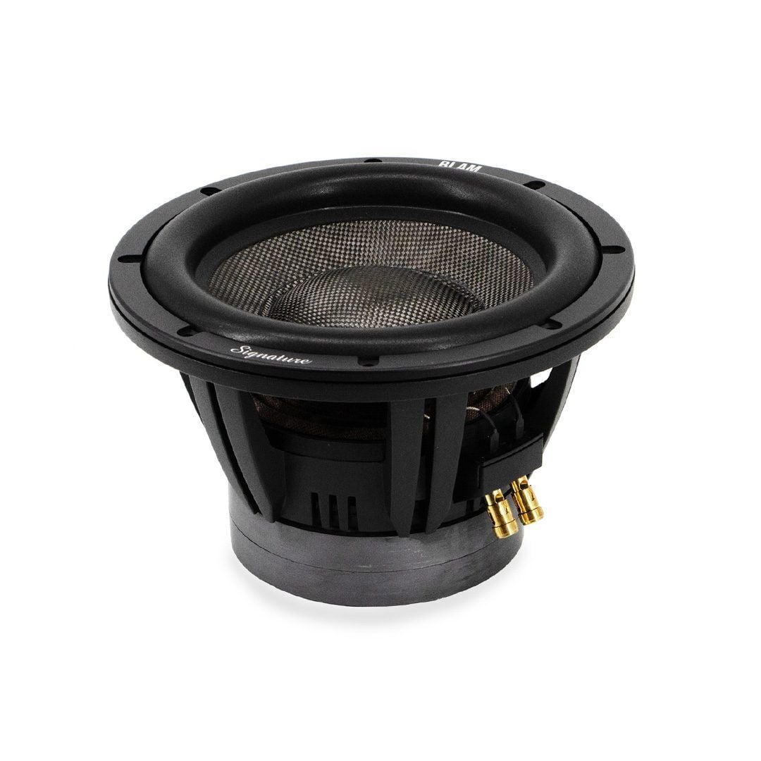 Blam SUPERSUB10 2x2 Ohm Subwoofer (25cm)