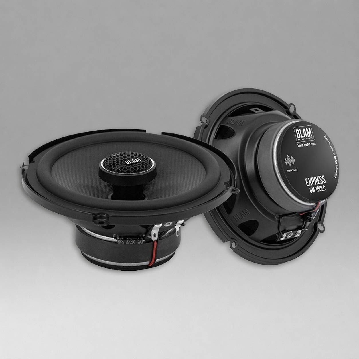BLAM Ses Sistemi Paketi Kabinli Subwoofer