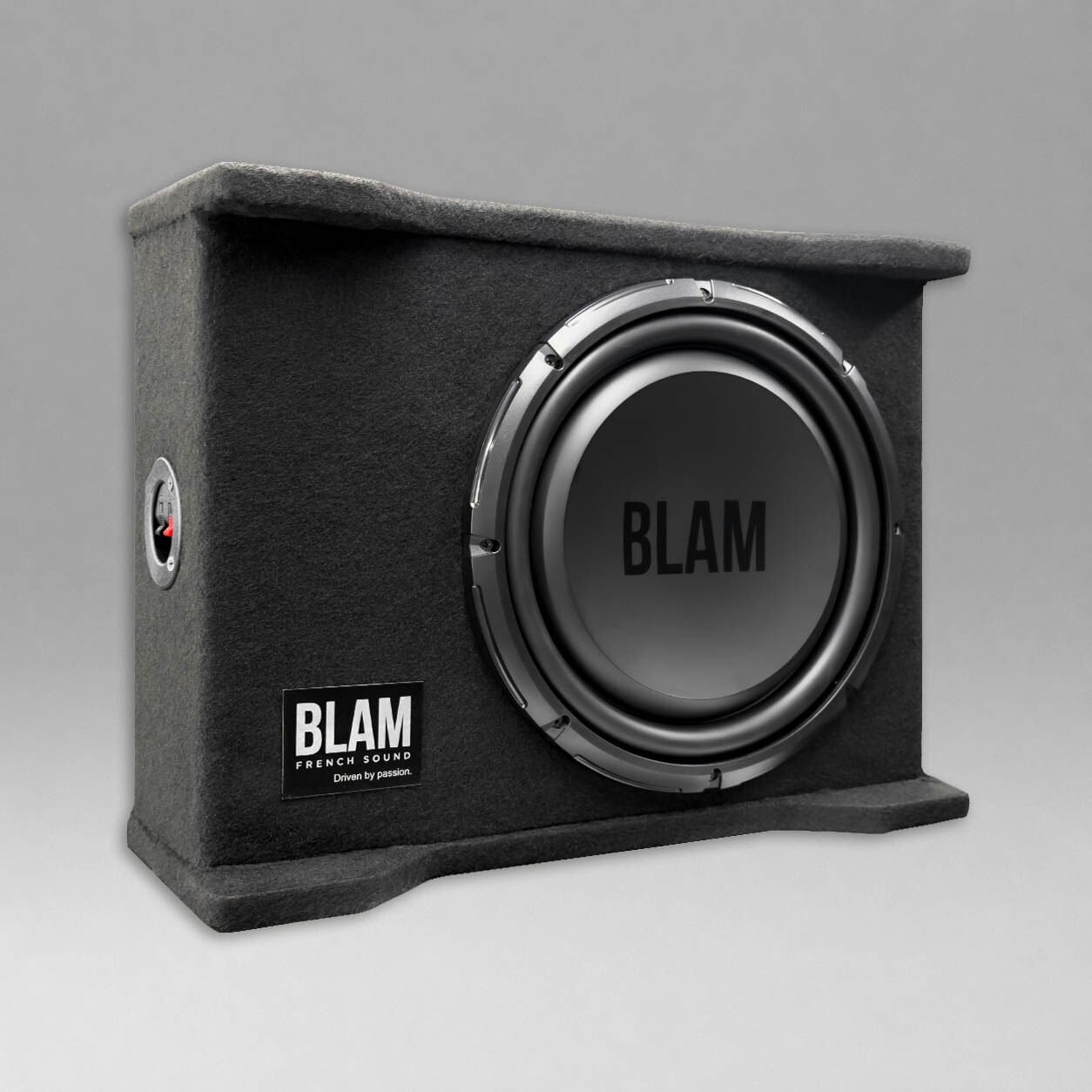 BLAM Ses Sistemi Paketi Kabinli Subwoofer