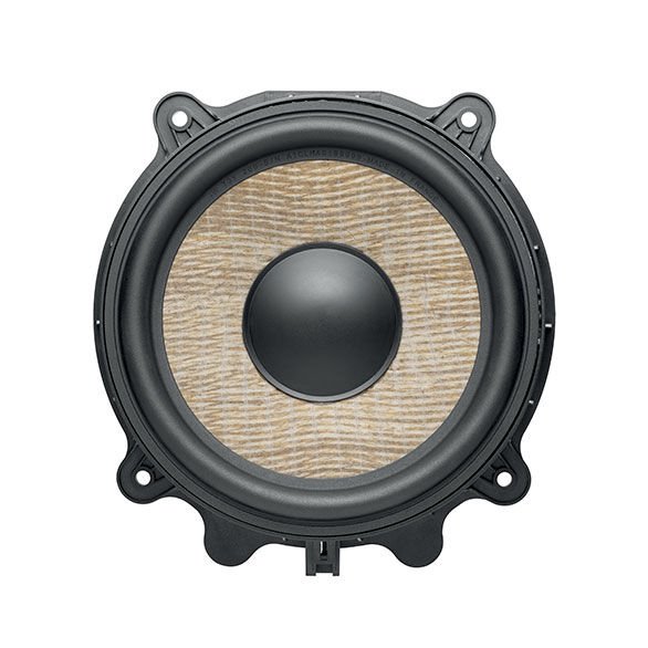 FOCAL IWT3Y200 Tesla 2'li Woofer Seti